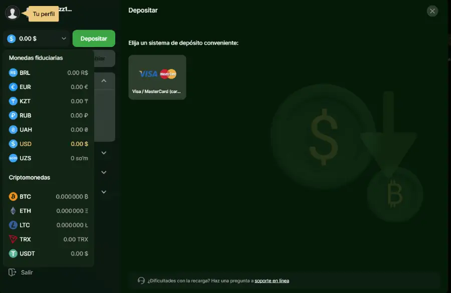 Los métodos de pago de Riobet solo ofrecen Visa, Mastercard y algunas criptomonedas.